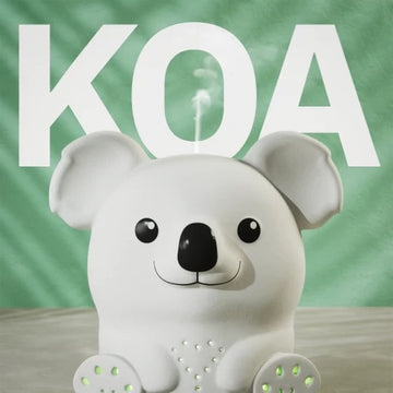 Kvapų difuzorius - Koala